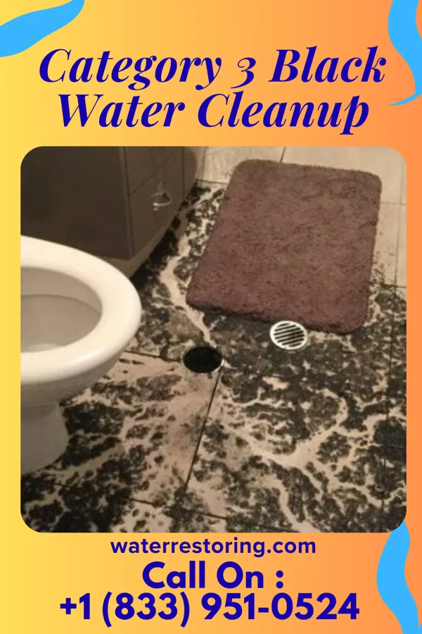 Category 3 Black Water Cleanup in Mount Lena, MD