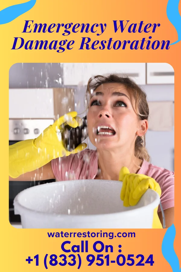 Emergency Water Damage Restoration in Mount Lena, MD