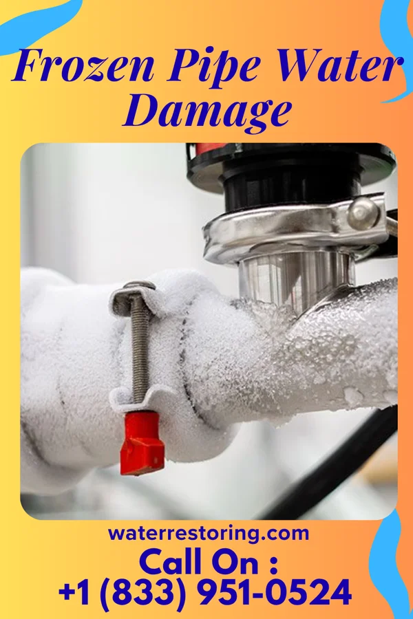 Frozen Pipe Water Damage in Mount Lena, MD