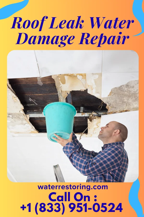 Roof Leak Water Damage Repair in Mount Lena, MD