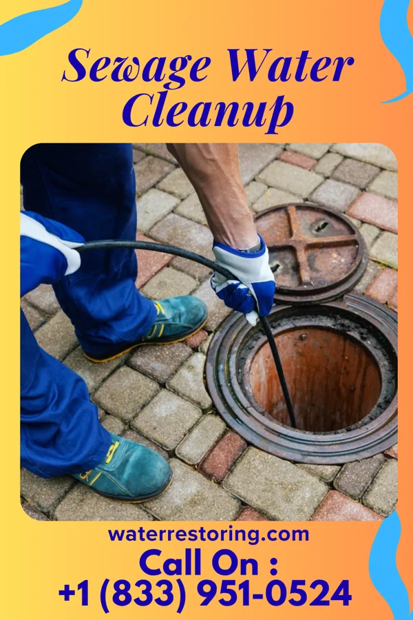Sewage Water Cleanup in Mount Lena, MD