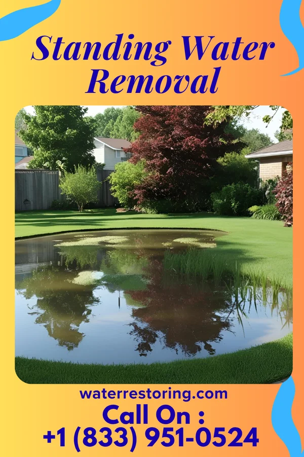 Standing Water Removal in Mount Lena, MD